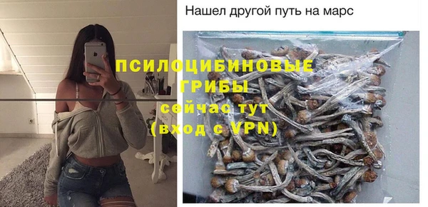 молекула духа Липки